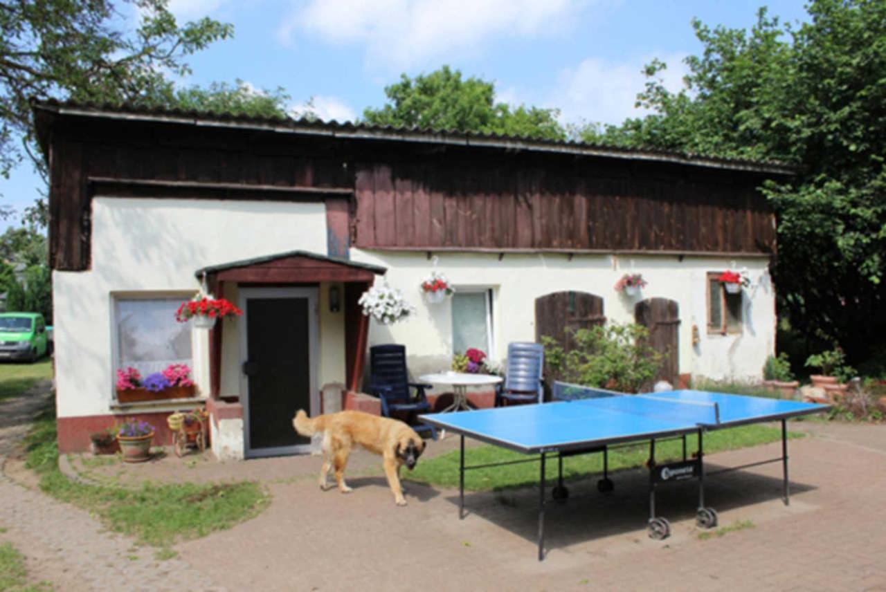 Heidi * Zinnowitz